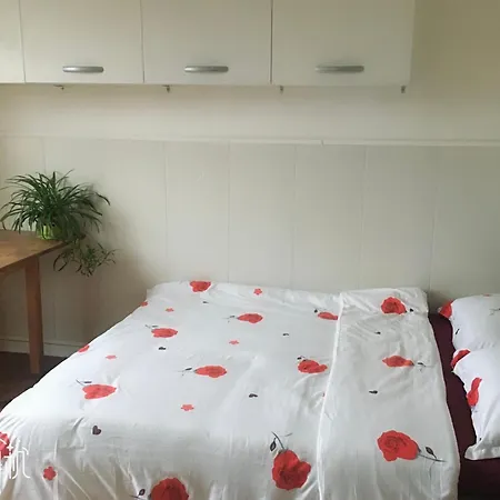 Ensoleillee Et Lumineuse Homestay Orly